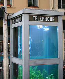 Super Cool Phone Booth Transformation Just For Fishes!