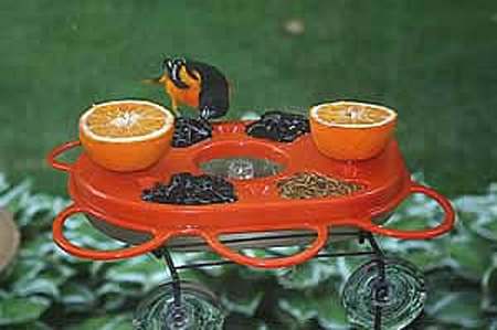 Fruit Feeder and Jelly Fruit Feeder and Jelly