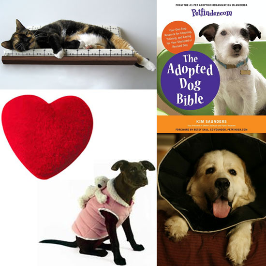 Pet's February Must Haves Pet's February Must Haves