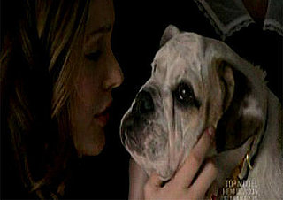 Gossip Girl Handsome Quiz: Episode 17, "Carnal Knowledge"