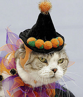Is Kitty's Dress Up Time Super Scratchy or Super Simple?