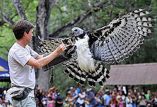 Guess What Bird?