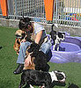Shop Spotlight: North's at Pet Camp!