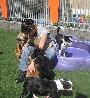 Shop Spotlight: North's at Pet Camp!