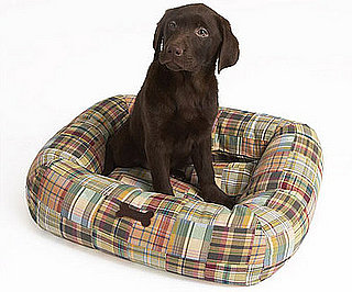 Trend Setters: Madras Crewmutts