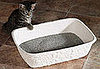 Pampered Pals: Porta-Potties For Kitties