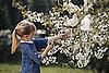 Create a Certified Wildlife Habitat in Your Backyard