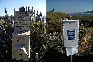 To the Rescue: Composting Dog Poop?