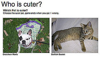 Could You Pick Which Pet is Cuter for Money?! 