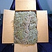 Spanish Moss
