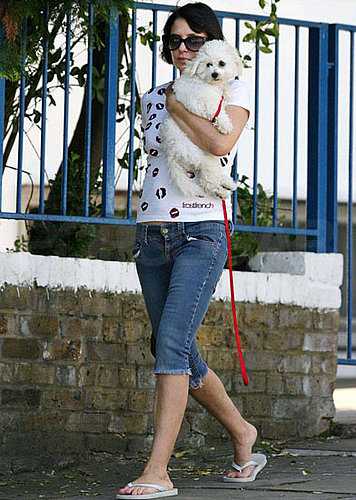 Can You Name Sadie Frost's Pooch?