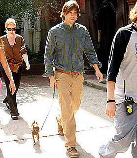 Does Ashton Kutcher Really Pee With His Dogs?