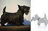 Trend Setters: Scotties