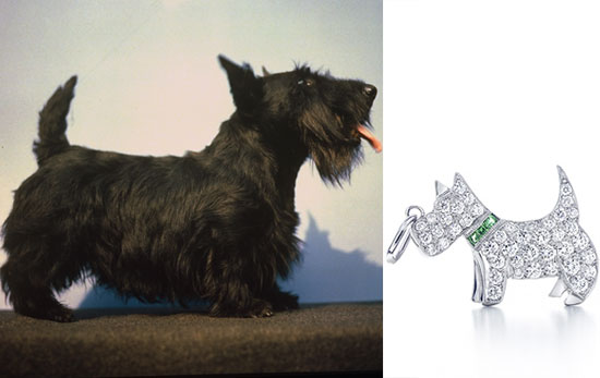Trend Setters: Scotties Trend Setters: Scotties