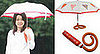Hands-Free Umbrella Makes Rainy Dog Walks Easy  