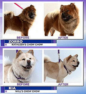 Groomer Has It: Do You Agree With This Week's Decision?