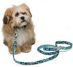 New Product Alert: Celebrate Summer With Mascot!
