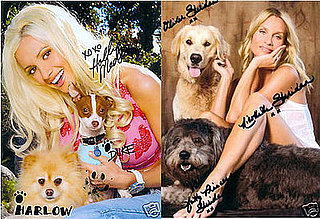 Milk-Bone eBay Celebrity Charity Auction Ends Saturday!