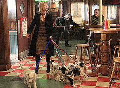 Even More Pets As Gifts on TV?!