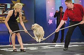 Do Tell: Could You Date Someone Who Didn't Like Animals?