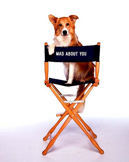 Reader's Choice Recap: Your Fave Small Screen Animal Stars Reader's Choice Recap: Your Fave Small Screen Animal Stars