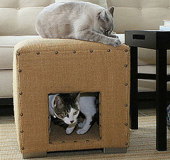 Win a Cat Scratch Cube for Your Kitty's Claws!