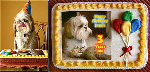 Happy Birthday, North: Two Sweet Cakes For My Sweet Boy!