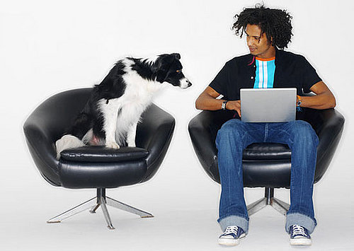 Do Tell: Would You Bring Your Pet to Work?