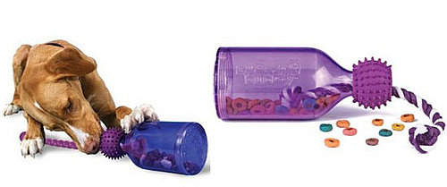 If Your Dog Likes Water Bottles, Try This Toy Instead!