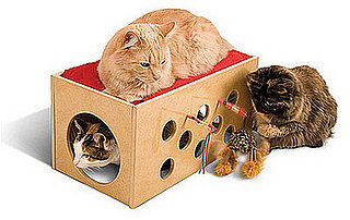 Kitty Bunkbed and Playroom: Spoiled Sweet or Spoiled Rotten?