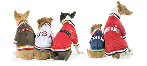 Let Your Sporty Pet Support the Euro 2008 Final in Style!