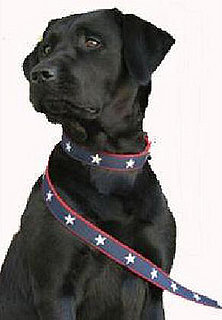 Stars and Stripes . . . For Fido.