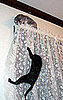Do Tell: Is Your Cat a Climber?