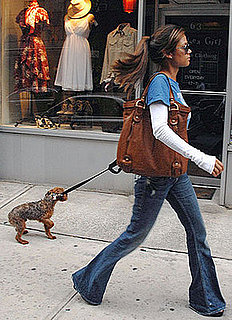 In the Spotlight: Wookie Wants to Window Shop