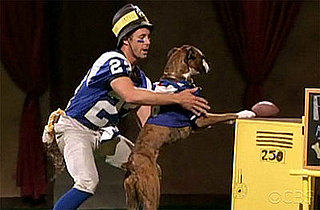 Greatest American Dog: All the Antics, All the Fun! 