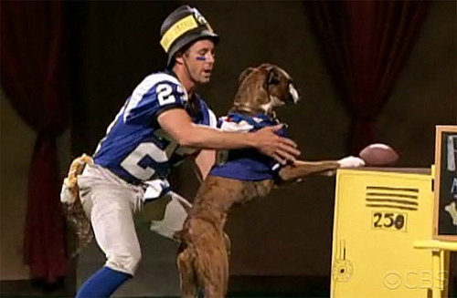 Greatest American Dog: All the Antics, All the Fun! 