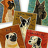Pick Your Pooch Prints: In the LINK of an Eye!