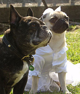 Nardo and Lucy Are Married (and in Love)!