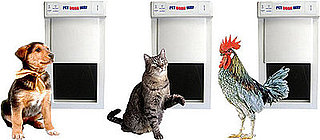 Does Your Dog or Cat (or Chicken) Need a Pet Doorway?