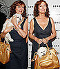 Celeb Redo: A Better Doggie Bag For Susan Sarandon