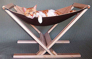 Kitty Needs a Hammock: In the LINK of an Eye!