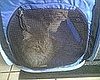 I Need Your Help . . . Is the Vet After My Money?