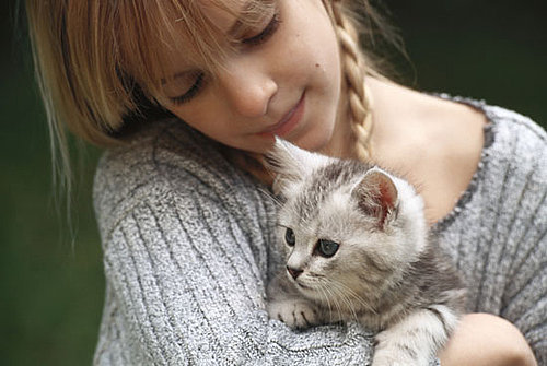 Word to the Wise: Permethrin Poisons Cats! 