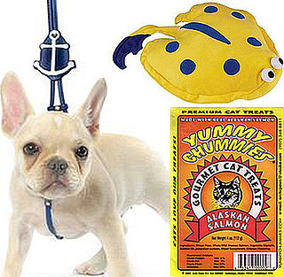 Pet's August Must Haves