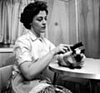 How Often Do You Brush Your Cat?