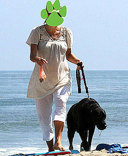 Guess Who?