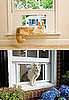 Pampered Pals: Cat Windoor Is Not a Typo