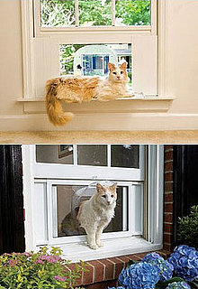 Pampered Pals: Cat Windoor Is Not a Typo