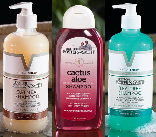 Dog Days of Summer: Natural Ingredients to Help With Fleas
