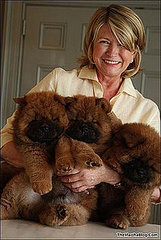 The Scoop: Martha Still Hasn't Picked Her Next Chow